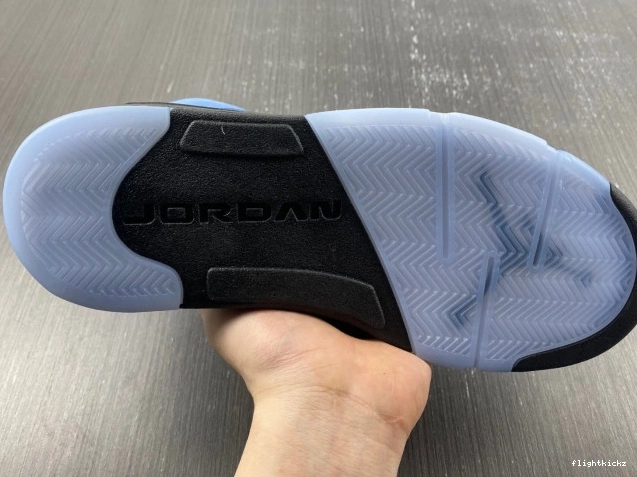 5 DV1310-401 Jordan UNC Air 0925